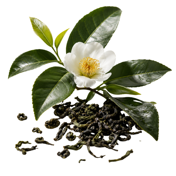 L-Theanine